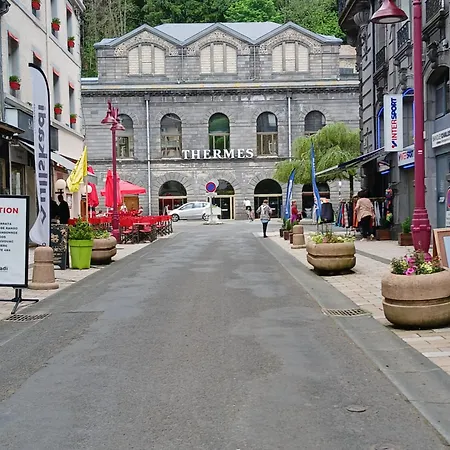 Au Cœur Du Mont-dore *