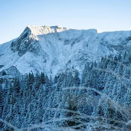 Apartman Au Coeur Du Mont-dore Le Mont-Dore